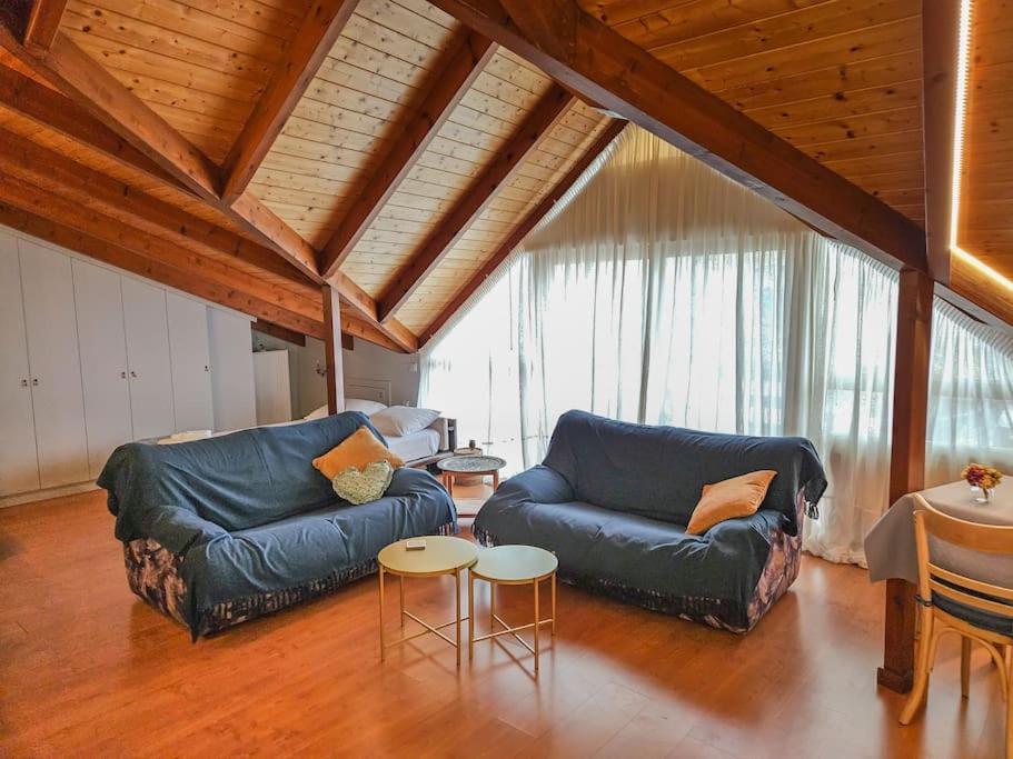 Sunny & Comfy Studio In The Heart Of プレベザ エクステリア 写真
